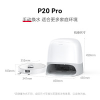 国家补贴、会员专享、PLUS会员：Roborock 石头 P20 Pro 扫拖一体机 水箱版