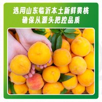 椰海源水果罐头425g新鲜黄桃罐头菠萝杨梅罐头休闲零食罐头