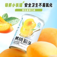 椰海源水果罐头425g新鲜黄桃罐头菠萝杨梅罐头休闲零食罐头