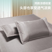 源生活 藤席 宿舍单人藤席 抑菌加密凉席 150*200cm【可水洗 可折叠】 灰色【送凉席枕套】