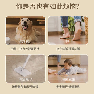 蓝洁星拖地板清洁剂瓷砖木地板大理石地面清洗剂500ml*2擦洗地去污杀菌 【超划算】2瓶共1L地板杀菌清洁