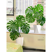 欧芽  龟背竹客厅大盆栽老桩植物办公室大型绿植室内盆景 精品龟背竹70-80cm(白色圆柱盆)
