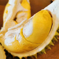 四叔公果蔬(现发)泰国托曼尼榴莲 新鲜当季水果 巴掌榴莲 A果 5-6斤(1-2个)