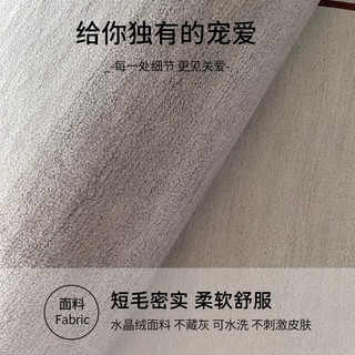万创客厅茶几地毯北欧卧室满铺房间高级感免洗可擦防水抗污 好鱼连连 180*250cm