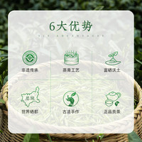 茶马世家2025新茶恩施玉露特级自己喝绿茶冷泡茶湖北特产蒸青茶叶