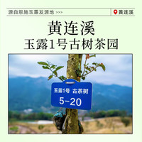 茶马世家绿茶2025新茶明前恩施玉露180g油纸包硒茶蒸青黄连溪茶叶自己喝 【黄莲溪】明前老树一级180g