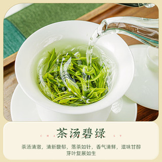 茶马世家2025新茶恩施玉露特级50g明前嫩芽富硒产区绿茶茶叶源头直发 【2025新茶】明前特级优选50g