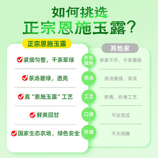 茶马世家2025新茶恩施玉露特级50g明前嫩芽富硒产区绿茶茶叶源头直发 【2025新茶】明前特级优选50g