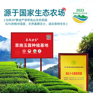 茶马世家恩施玉露2025新茶200g明前特级嫩芽富硒产区绿茶礼盒茶叶源头直发 【高端茶礼】开园特级200g礼盒