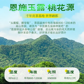 茶马世家2025新茶恩施玉露特级50g明前嫩芽富硒产区绿茶茶叶源头直发 【2025新茶】明前特级优选50g