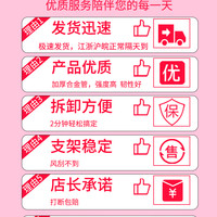健喜 羽毛球网架 JX-2022-5-20 便携式标准网
