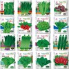 小镇有花 蔬菜种子四季大叶香菜菠菜韭菜四季小白菜新手阳台种植