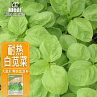 Ideal 理想农业 白苋菜种子 10g