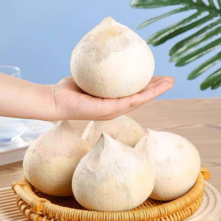 京地达 泰国奶香椰皇 8粒 单果450-550g 净重7.2斤起