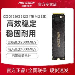 海康威视 CC300 NVMe M.2 固态硬盘（PCI-E3.0）256G