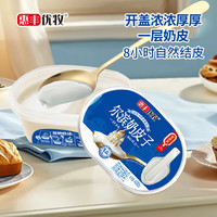 惠丰优牧 尔滨奶皮子酸奶 生牛乳发酵鲜制 低温老酸奶 无糖奶皮子酸奶2盒 尔滨奶皮子酸奶400g*2盒
