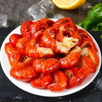 龙霸大号小龙虾尾去冰净重310g一级110-130颗/斤清水原料冷冻鲜剥