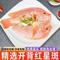 品珍鲜活 精选三去红星斑鱼净重2条装无小刺免处理即烹