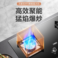 万家乐AY5G燃气灶家用灶具天然气煤气液化气炉灶