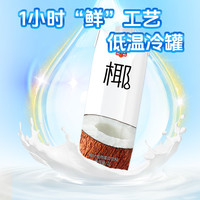 春光 食品海南特产椰汁 最喜椰 生榨椰子汁植物蛋白饮料 春光椰汁1L*2