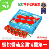 京鲜生 &一颗大樱桃番茄带枝整串净重850g生鲜水果西红柿圣女果源头直发