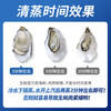 鲜海道【活鲜】鲜海道生蚝  乳山牡蛎 新鲜海蛎子生鲜贝类 稀有大号8XL-带箱5斤（3-5只）