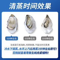 鲜海道【活鲜】鲜海道生蚝  乳山牡蛎 新鲜海蛎子生鲜贝类 稀有大号8XL-带箱5斤（3-5只）