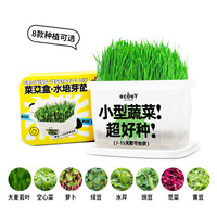 生态E园 ecoeY 水培种菜科学实验套装