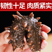 皇家麒麟 即食海参礼盒 即食大连冷冻海参年货水产海鲜礼盒1000g高品质 钜惠1000g 52-70只海参礼盒装