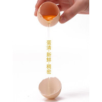 伯贤 农家生态散养土鸡蛋 新鲜土鸡蛋 现捡新鲜谷物虫草柴鸡蛋 40枚 草鸡蛋