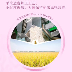金龙鱼 生态种植 东北大米  袋装 5kg