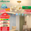 雷士照明 Lighting照明 雷士照明 NVC Lighting  Lighting客厅吊灯分子灯北欧星光创意几何现代轻奢高显智能