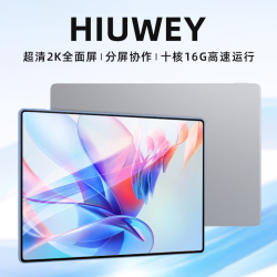 HIUWEY 平板电脑2025大屏全面屏二合一十核全网通5GWiFi游戏办公学习上网课Pad Pro 冰霜银 14英新Pro性能