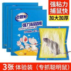 老管家 强力粘鼠板老鼠贴家用 大号 3张装