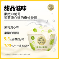 北海牧场宝石碗系列低温酸奶0蔗糖风味发酵乳 新日期 白葡萄流心茉莉味140g*12杯