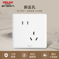 德力西 DELIXI 斜五孔插座 1个装