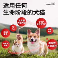 安替诺Antinol277髌骨脱位软骨素猫狗安它诺关节强炎腰椎