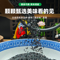 东北黑米新米500g农家自种黑香米大米紫米煮粥焖饭五谷杂粮粗粮