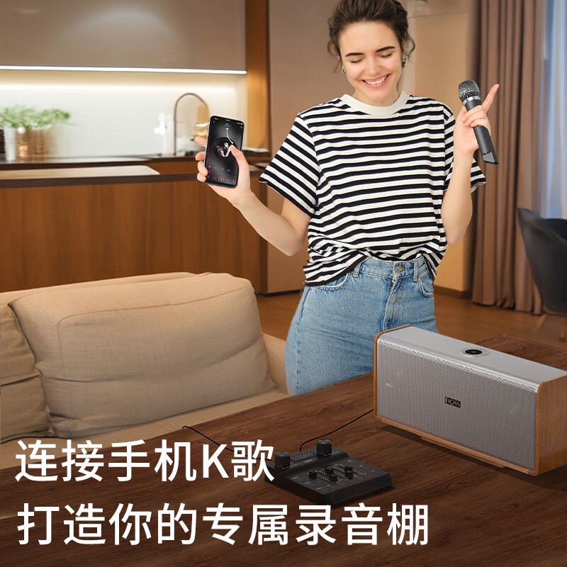 Sound Wave声浪K歌套装+双麦克风