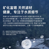西屋(Westinghouse)台式净饮机 矿化富锶家用一体直饮 饮水机RO反渗透过滤净水器 加热制冷免安装一级曼哈顿系列F2 【冷热净矿】曼哈顿F2 灰色