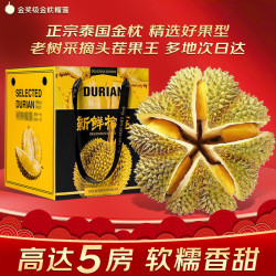 梦宛怡 榴莲新鲜金枕榴莲泰国一整个带壳水果整箱 5-6斤甄选报恩果王丨1-2个果