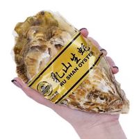 新鲜 乳山生蚝 4XL特大 2.5斤 单个4-5两 顺丰快递
