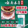 云南本草 亮白洗牙粉益生菌洁牙黄牙垢烟渍茶渍去口气牙垢石口臭茶渍小苏打 1瓶装50g洗牙粉