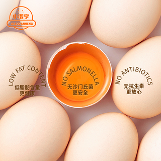  小蛋亨 可生食无菌 鸡蛋