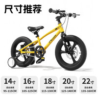 凤凰牌儿童自行车3-6-8-10-12到15岁男女孩单车2025小孩