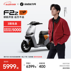 九号 远行者 F2z 110 MAX 电动自行车 TDT135Z