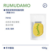 【Terraform】25产季空运批次 晴王葡萄 Rumudamo水洗 手冲咖啡豆