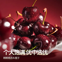 京觅四川汉源黑珍珠大樱桃/车厘子JJ级净重源头直发包邮