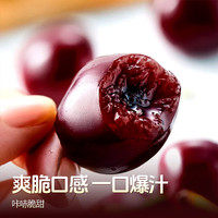 京觅四川汉源黑珍珠大樱桃/车厘子3J级净重2.8斤源头直发 2.8斤(净重)