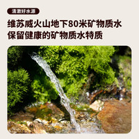 辣西西里lasicilia意大利通心形意大利面500g 意式面条通心管形面条西餐意面 【真·】通心粉·劲道爽滑